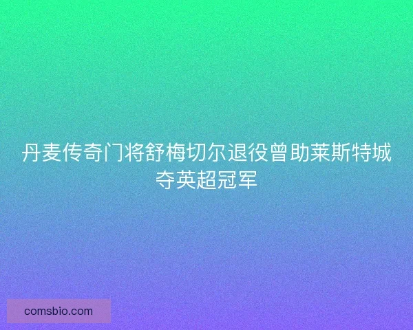 丹麦传奇门将舒梅切尔退役曾助莱斯特城夺英超冠军