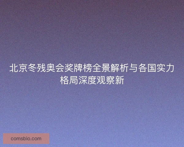北京冬残奥会奖牌榜全景解析与各国实力格局深度观察新